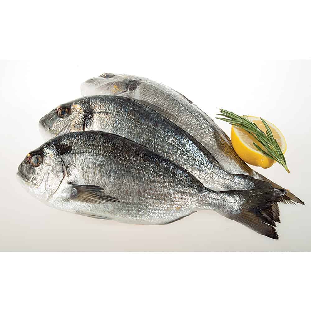 Риба Ципура 300/400 охл