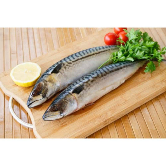 Риба Скумрия Норвегия