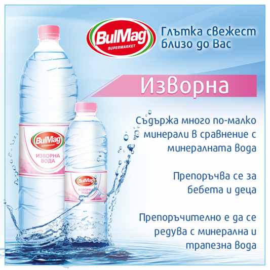 Изворна вода BulMag 500мл